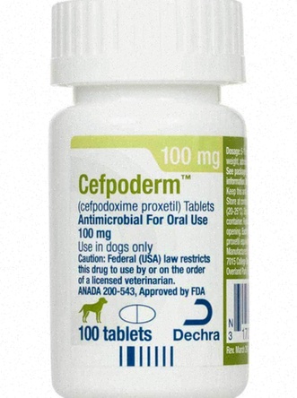 cefpodoxime